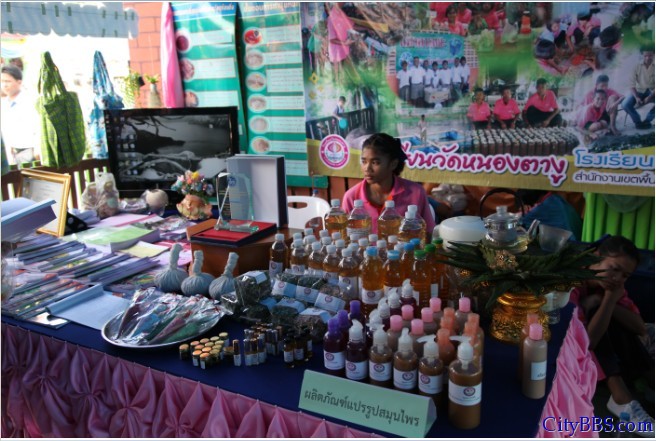 泰国北方地区工艺品博览会