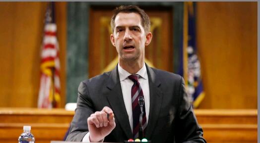 参议员科顿 参议员科顿