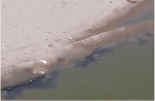 死去村民的遗体漂浮在河中