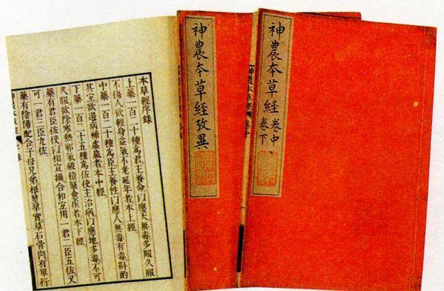 《本草纲目》 《本草纲目》