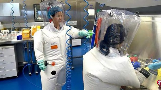 中国知名病毒学家、武汉病毒研究所专家石正丽 中国知名病毒学家、武汉病毒研究所专家石正丽