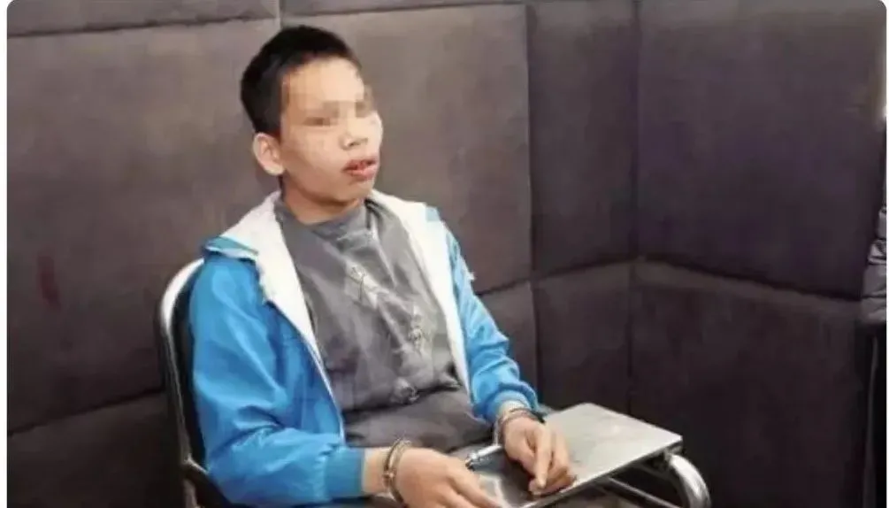 警方抓获了赵力宝