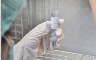 试管婴儿 试管婴儿