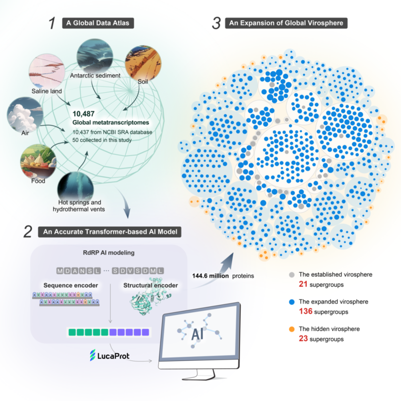 使用人工智能对全球病毒圈深度挖掘并分类 使用人工智能对全球病毒圈深度挖掘并分类