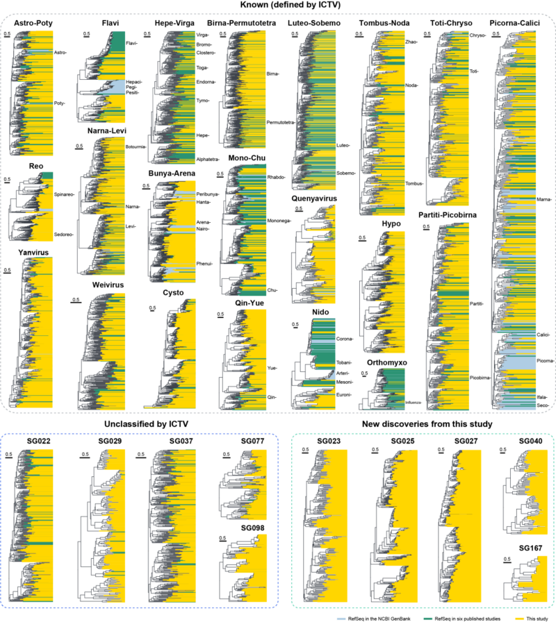 新发现病毒的遗传多样性(黄色部分) 新发现病毒的遗传多样性(黄色部分)