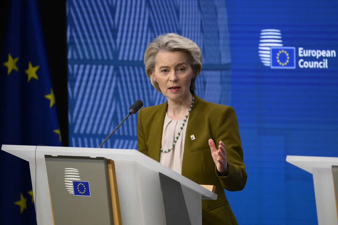 冯德莱恩的防御计划遭到某些欧盟成员国的反对 冯德莱恩的防御计划遭到某些欧盟成员国的反对